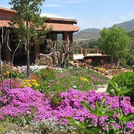 Quinta Maria En La Ruta Del Vino Bed & Breakfast Вале де Гуадалупе Екстериор снимка