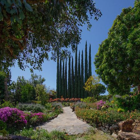 Quinta Maria En La Ruta Del Vino Bed & Breakfast Вале де Гуадалупе Екстериор снимка