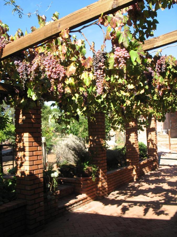 Quinta Maria En La Ruta Del Vino Bed & Breakfast Вале де Гуадалупе Екстериор снимка