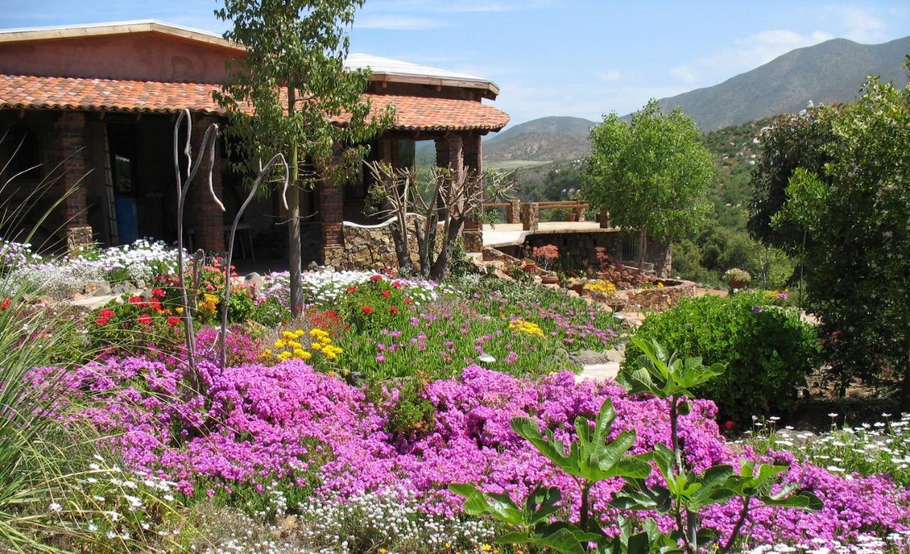 Quinta Maria En La Ruta Del Vino Bed & Breakfast Вале де Гуадалупе Екстериор снимка