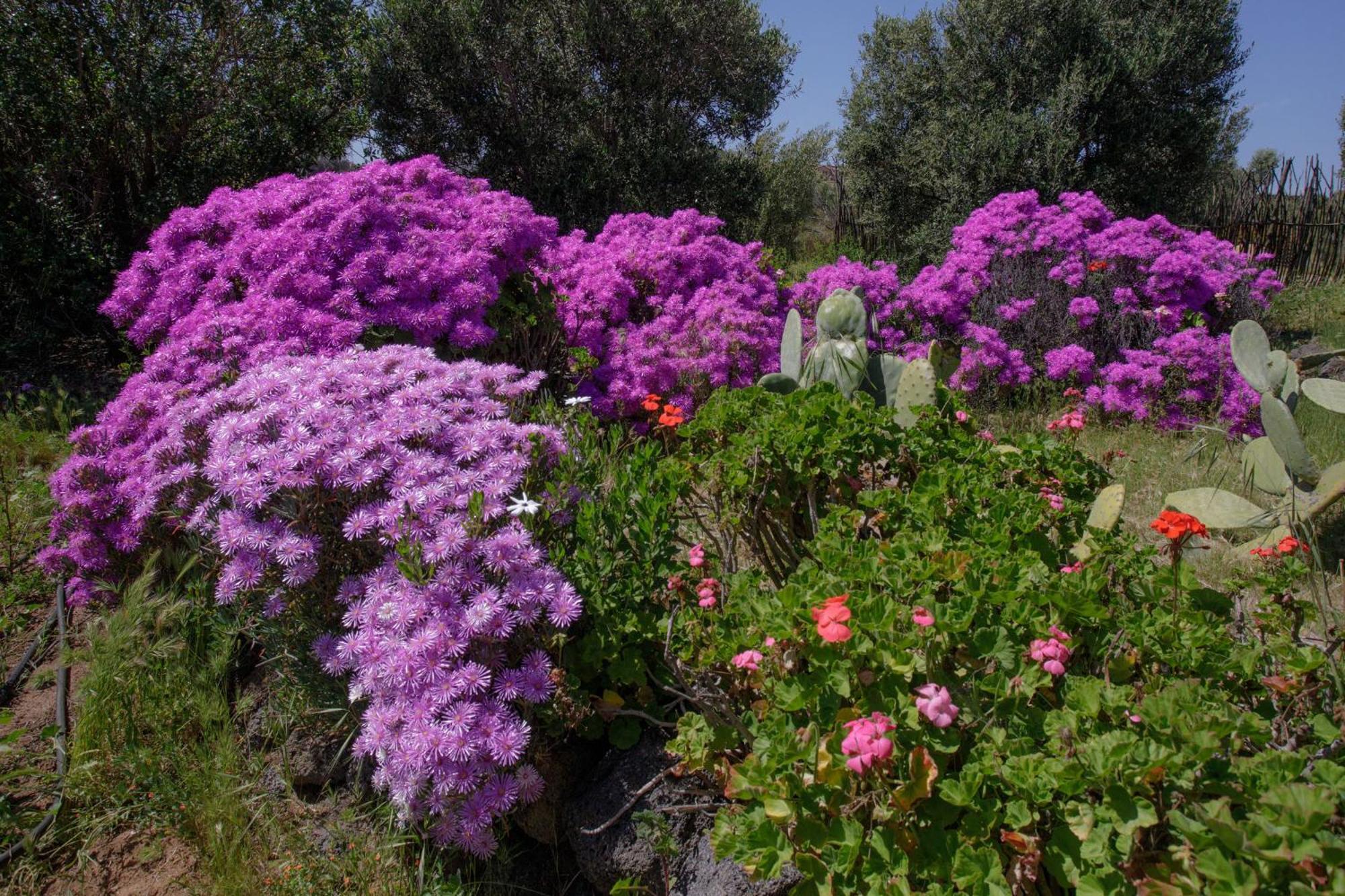 Quinta Maria En La Ruta Del Vino Bed & Breakfast Вале де Гуадалупе Екстериор снимка