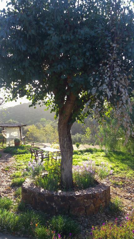 Quinta Maria En La Ruta Del Vino Bed & Breakfast Вале де Гуадалупе Екстериор снимка