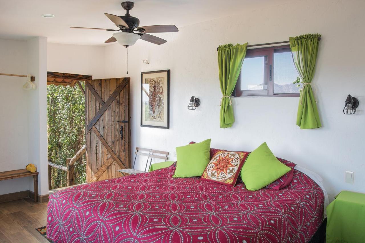 Quinta Maria En La Ruta Del Vino Bed & Breakfast Вале де Гуадалупе Екстериор снимка